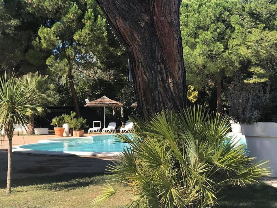 ואסטו Hotel Perrozzi מראה חיצוני תמונה